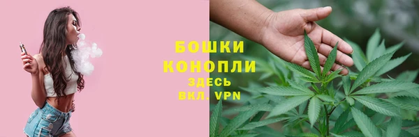 тгк Медногорск