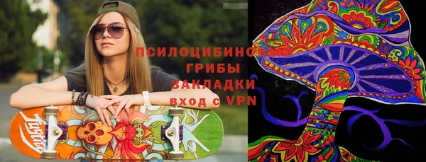 винт Алзамай