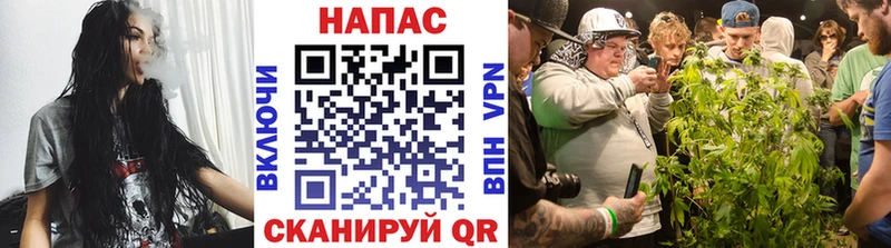 Бошки марихуана MAZAR закладки гидра ONION Дыгулыбгей